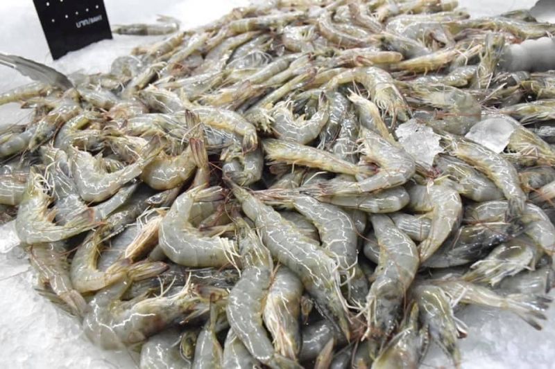 กุ้งขาวแวนนาไม