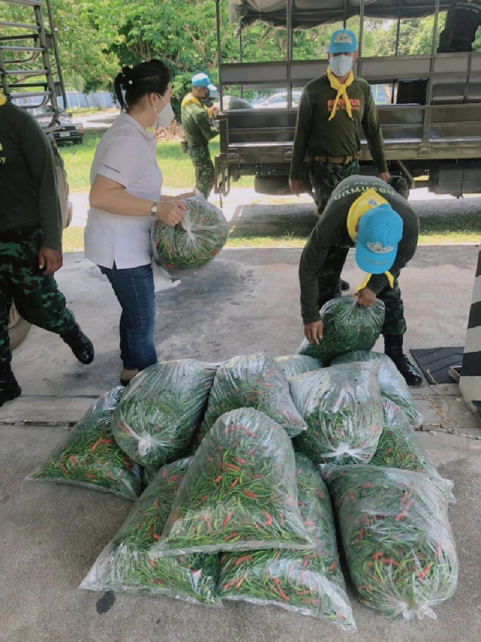 พาณิชย์แก้สำเร็จพริกใต้ราคาตก   แฉมีขบวนการปั่นราคา