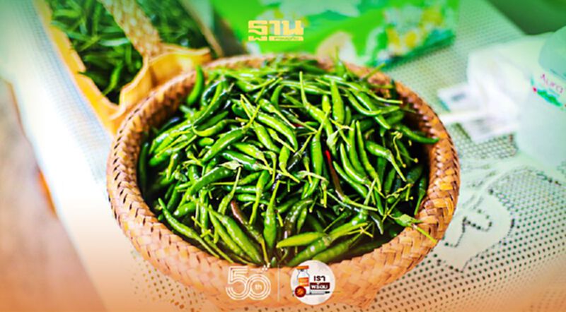 พาณิชย์แก้สำเร็จพริกใต้ราคาตก แฉมีขบวนการปั่นราคา พาณิชย์แก้สำเร็จพริกใต้ราคาตก แฉมีขบวนการปั่นราคา