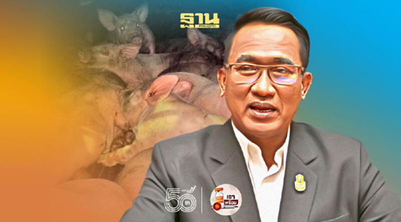 จับลักลอบเคลื่อนย้ายสุกร ไม่มีใบอนุญาต จับลักลอบเคลื่อนย้ายสุกร ไม่มีใบอนุญาต