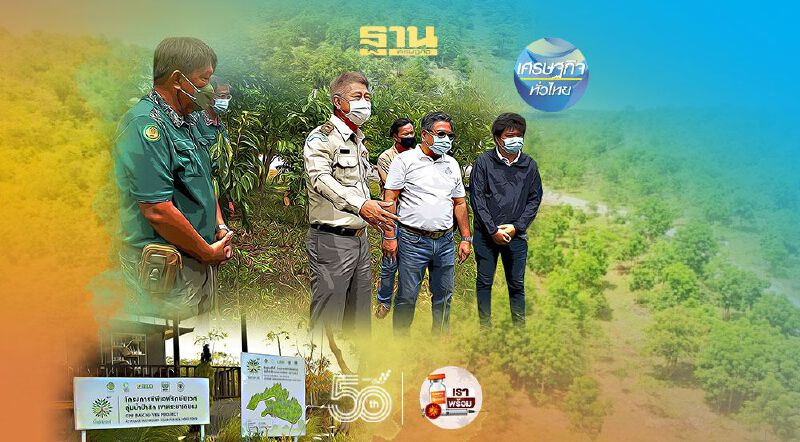 "เขาพระยาเดินธง"ซีพีเอฟปั้นต้นแบบ‘ปลูกป่า’