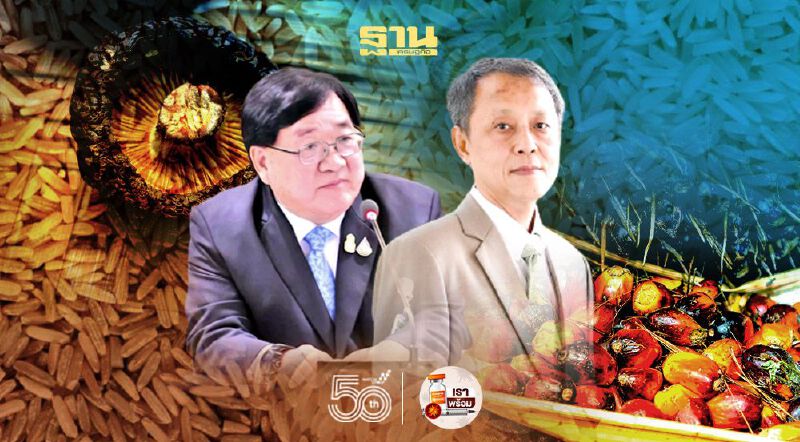 “เห็ดหอมแห้ง-ปาล์มน้ำมัน-ข้าว” ประกาศเป็นมาตรฐานทั่วไป