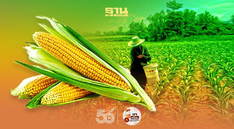 ซีพีเอฟ ลุยต้นแบบ 2 จังหวัด ปลูกข้าวโพด “ไม่เผา-ไม่รุกป่า”
