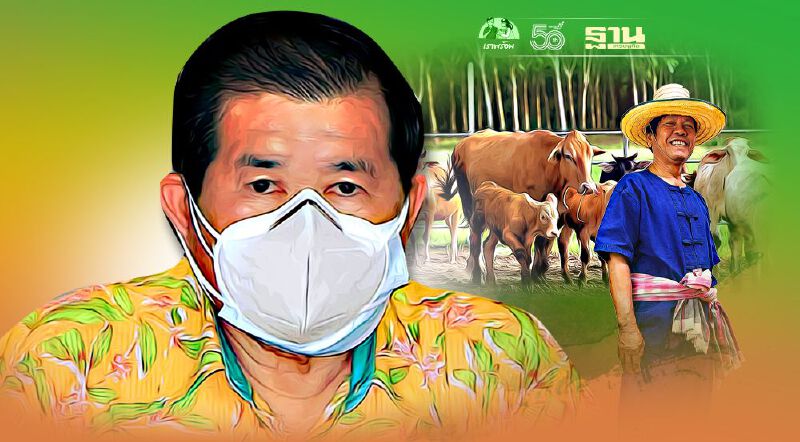 “นิพนธ์”เสนอรัฐหนุน“โคเนื้อภาคใต้”เพิ่มรายได้แก้ยากจนในพื้นที่