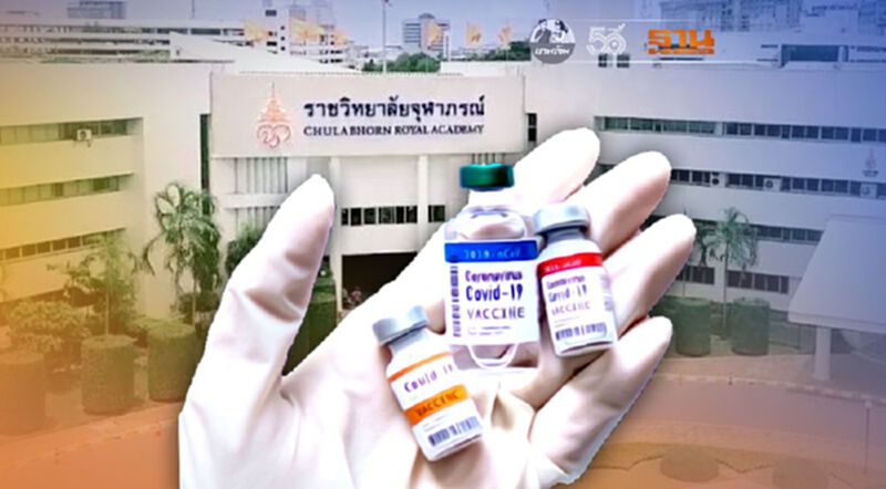 "ราชวิทยาลัยจุฬาภรณ์" ยันได้ "ซิโนฟาร์ม" ครบทุกบริษัท "หมอนิธิ" ระบุไม่มีการเท "ราชวิทยาลัยจุฬาภรณ์" ยันได้ "ซิโนฟาร์ม" ครบทุกบริษัท "หมอนิธิ" ระบุไม่มีการเท
