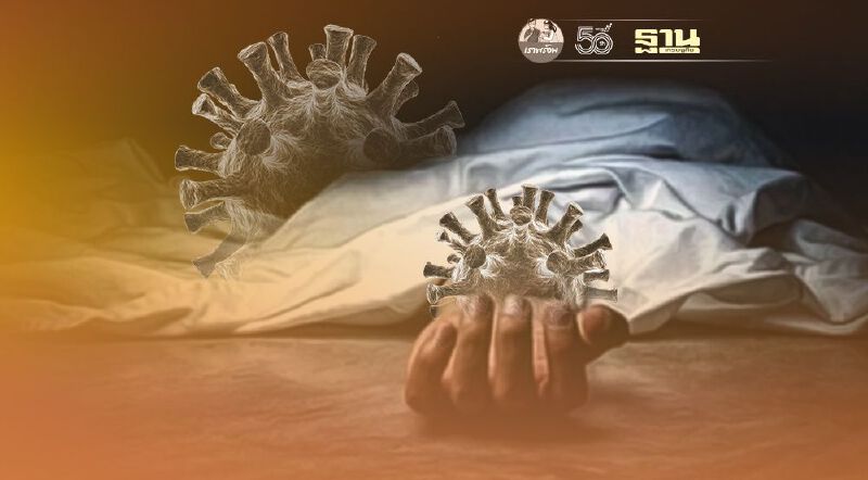 โควิดวันนี้ เปิดรายละเอียดผู้เสียชีวิต 29 ราย พบอายุมากสุด 100 ปี