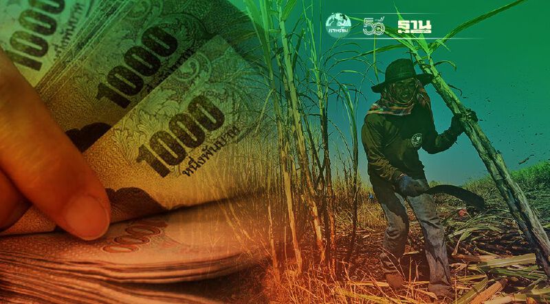 "เงินช่วยชาวไร่อ้อย" เข้าวันไหน เช็กที่นี่ "เงินช่วยชาวไร่อ้อย" เข้าวันไหน เช็กที่นี่