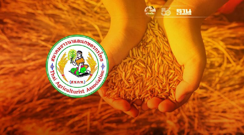 จี้ล้างบาง “ข้าวหอมมะลิปลอม”