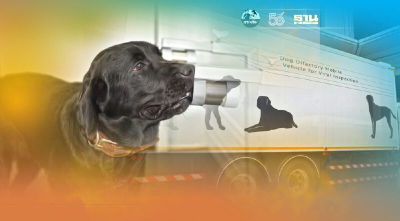 เปิดตัว 'รถดมไว' สุนัขดมกลิ่น คัดกรองโควิด19 คันแรกของไทย เปิดตัว 'รถดมไว' สุนัขดมกลิ่น คัดกรองโควิด19 คันแรกของไทย