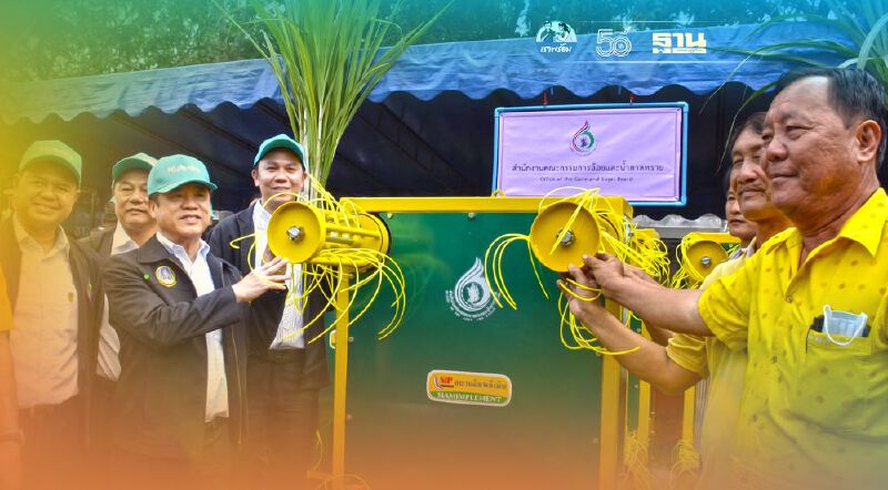 24 มิ.ย.ชาวไร่อ้อยตัดอ้อยสดคุณภาพดี 1.2 แสนรายรับเงินผ่านบัญชี ธ.ก.ส. 