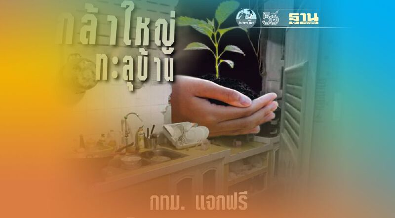 กทม.แจกฟรีกล้าไม้กว่า 50,000 ต้น 