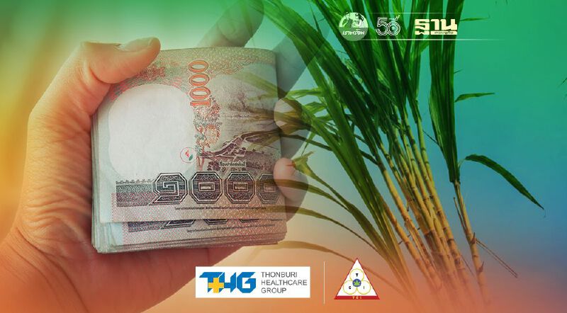 “เงินช่วยชาวไร่อ้อย” เช็กด่วน ได้สิทธิ์ แต่ไม่ได้เงิน ต้องทำอย่างไร