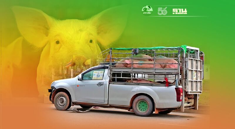 "ไม่มีใบอนุญาตเคลื่อนย้ายสัตว์" โทษสูงสุด จำคุก 2 ปี ปรับ 4 หมื่นบาท