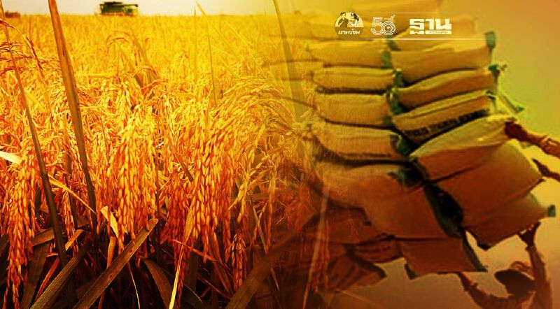 ส่งออกข้าว 5 เดือนเงินหาย 2 หมื่นล้าน ค่าระวางพุ่ง 4.6 แสนต่อตู้