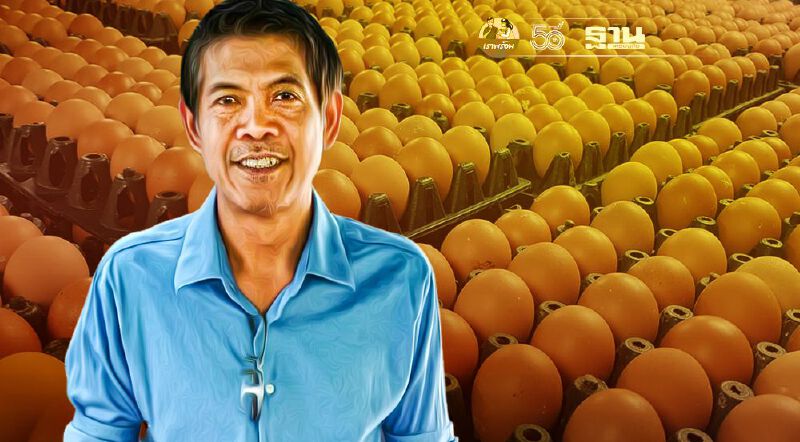 “ราคาไข่ไก่แพง” พ่อค้ากระอัก ลูกค้าหายเพียบ ส่อเจ๊ง ระนาว