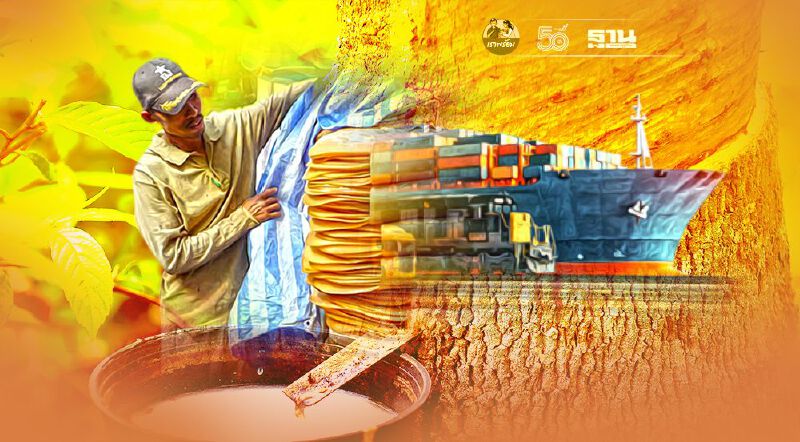 จับตา กยท.แก้กฎหมาย  บริหารยาง 4แสนล้าน  เอื้อใครกันแน่?