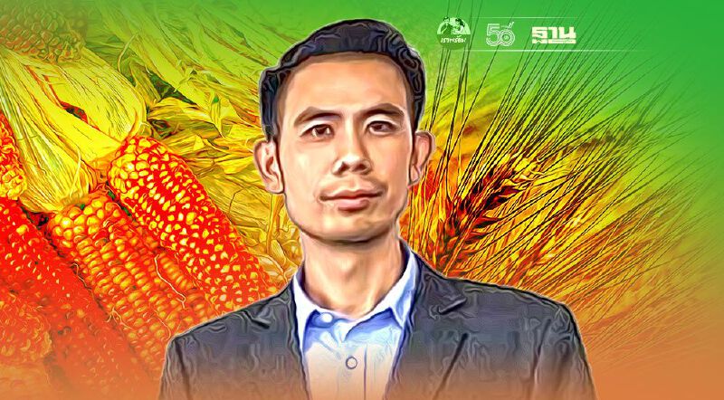 ร้องทบทวนนำเข้าธัญพืชนอกทุบราคาข้าวโพดในประเทศราคาตก