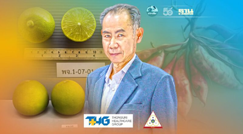 เปิดตัว “มะนาว ส้มโอ มันเทศ” พันธุ์ใหม่ ผลผลิตสูง ทนโรค เปิดตัว “มะนาว ส้มโอ มันเทศ” พันธุ์ใหม่ ผลผลิตสูง ทนโรค
