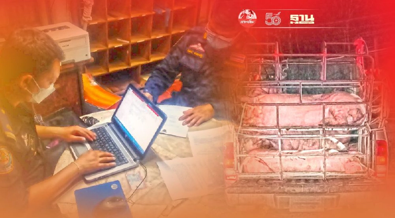 ยังจับต่อเนื่อง ไม่มีใบเคลื่อนย้ายสัตว์ ยังจับต่อเนื่อง ไม่มีใบเคลื่อนย้ายสัตว์