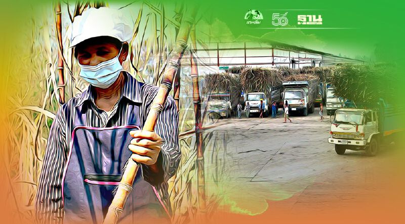 3 สมาคมโรงงานน้ำตาลทรายคาดอ้อยขั้นต้นรอบการผลิตปีนี้อยู่ที่ 90 ล้านตันอ้อย