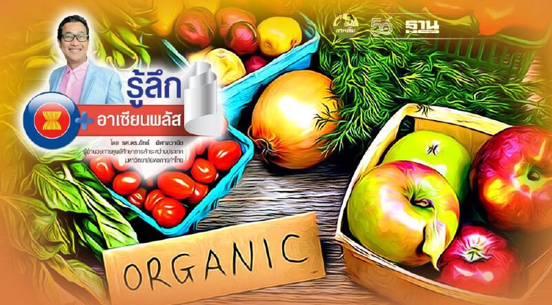 “เกษตรอินทรีย์ไทย”ต้องรื้อใหม่ใน 9 เรื่อง