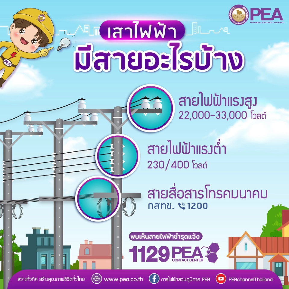การไฟฟ้าส่วนภูมิภาค (PEA) แนะนำสายบนเสาไฟฟ้า มีอะไรบ้าง
