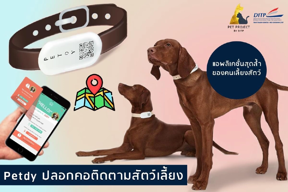 เจาะตลาด“Niche Market” 