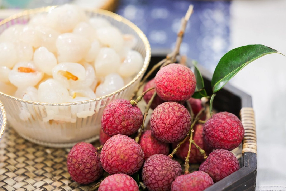 จีนผลักดัน‘ลิ้นจี่กวางตุ้ง’ ฉายา “ผลไม้พันปี” สู่ตลาดโลก