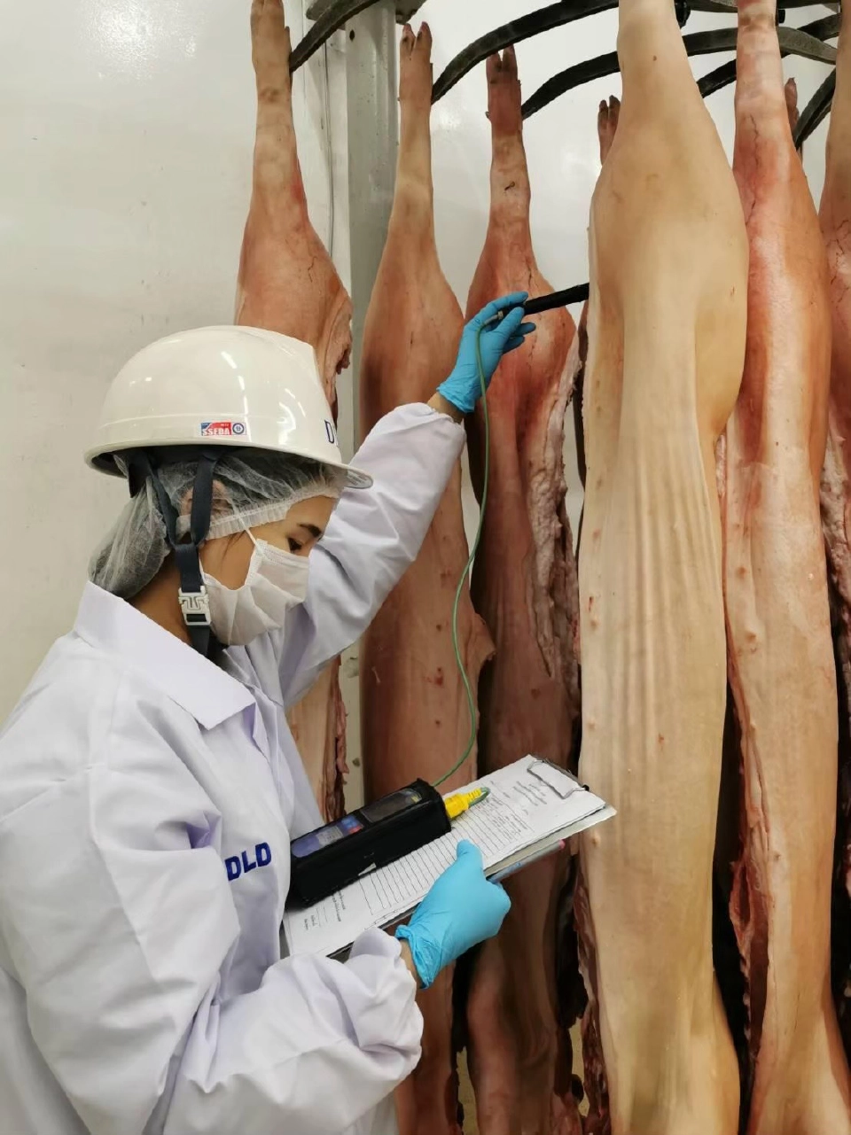 เข้มทุกขั้นตอน