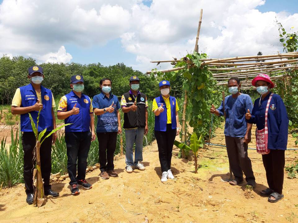 จาก”โคกหนองนา”สู่กลุ่มปลูกผักปลอดสารพิษ