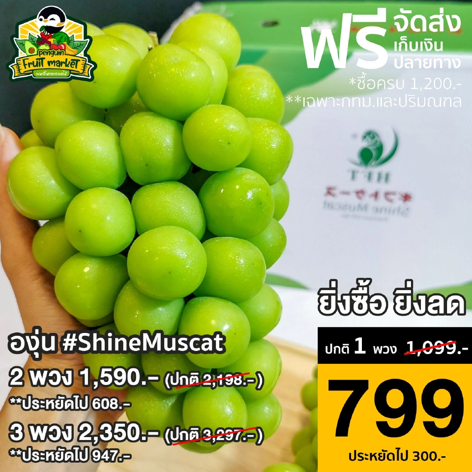 Penguin Eat Shabu... ยัน ‘หมอนดูดวิญญาณ’