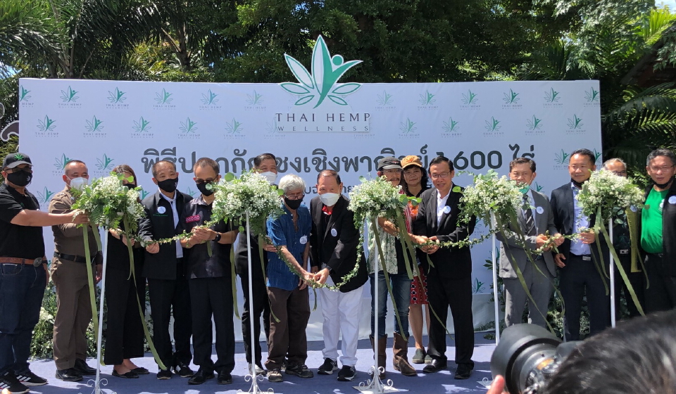 พิธีปลูกกัญชงแปลงแรกขนาด5ไร่ที่ต.ดงมะดะ อ.เมืองเชียงราย คาด4เดือนเริ่มเก็บเกี่ยว