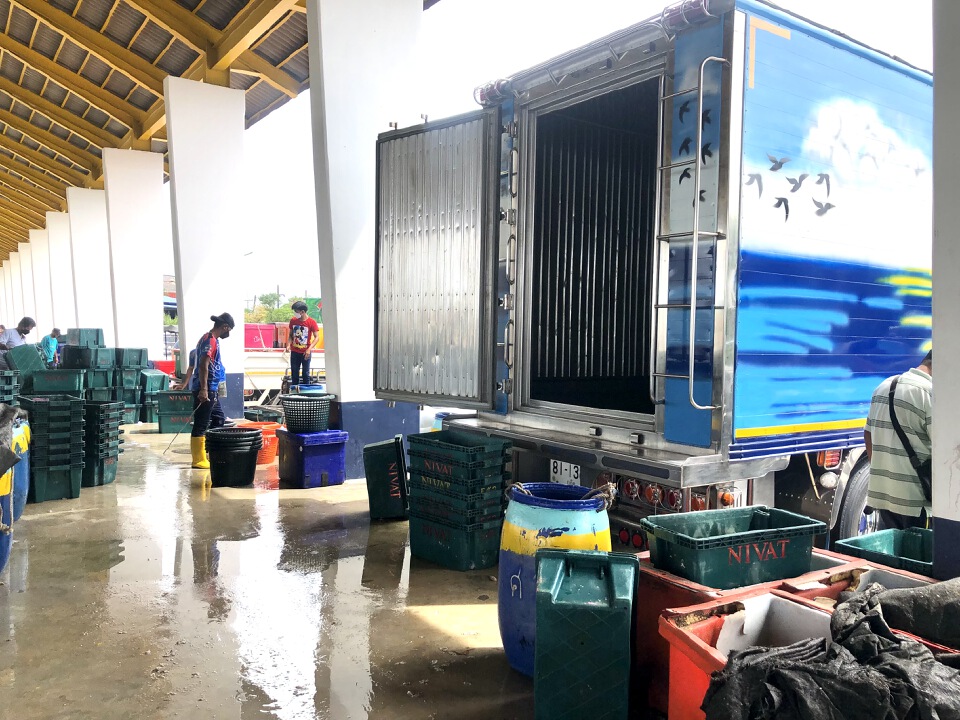  ประมงภูเก็ตคึกคักกลับมาขึ้นปลาวันแรก 123 ตัน 