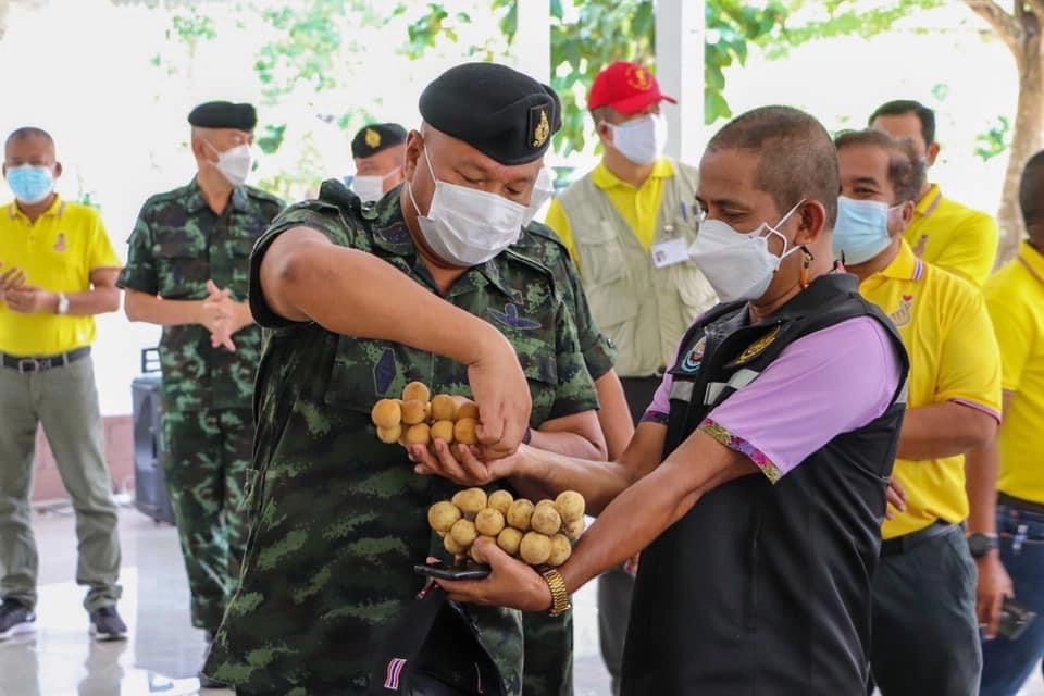 "ชาวสวนลองกอง"นราธิวาสเศร้ารายได้หด30%