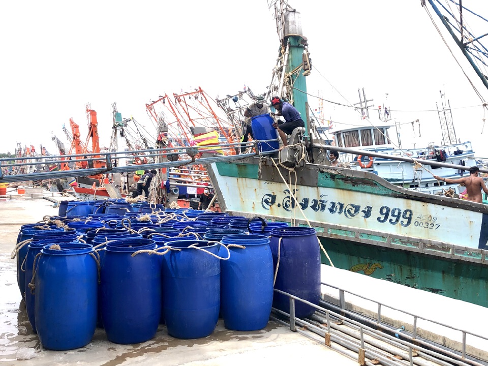  ประมงภูเก็ตคึกคักกลับมาขึ้นปลาวันแรก 123 ตัน 