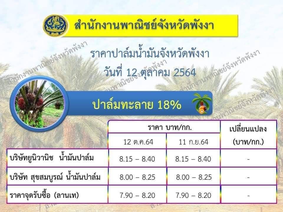 ราคาปาล์มจังหวัดพังงา