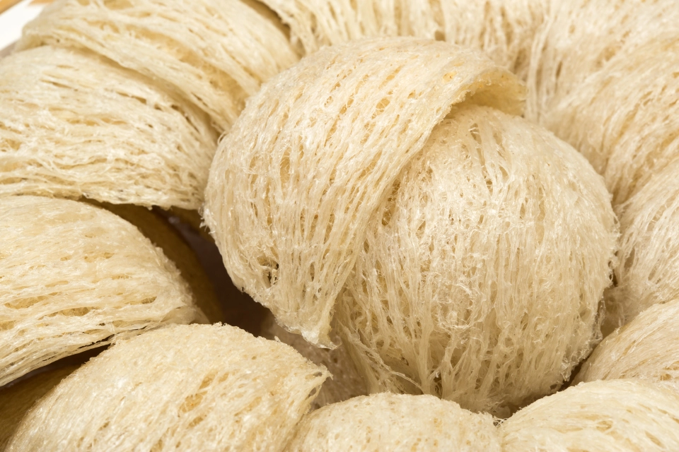 “รังนก” ของขวัญล้ำค่าจากธรรมชาติช่วยบำรุงสุขภาพ