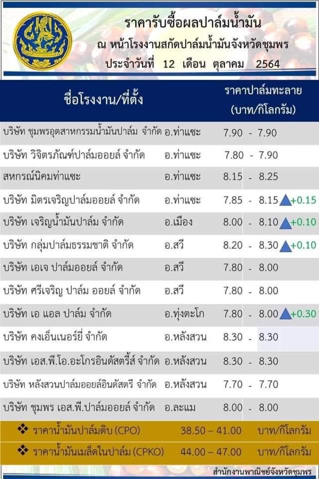 ราคาปาล์มจังหวัดชุมพร