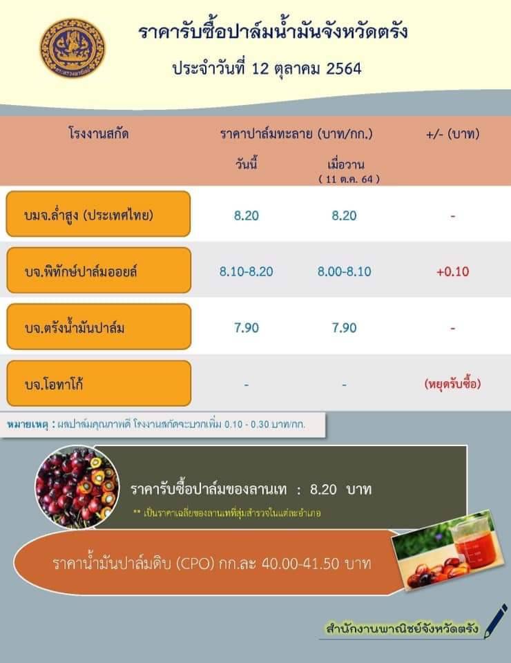 ราคาปาล์มจังหวัดตรัง