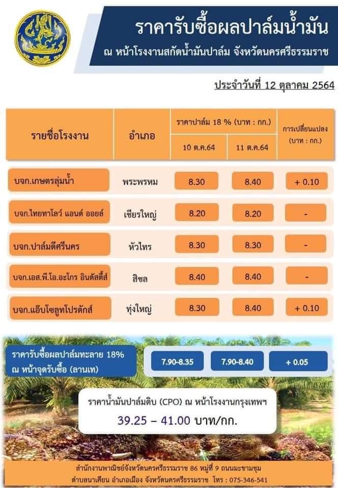 ราคาปาล์มน้ำมันจังหวัดนครศรีธรรมราช