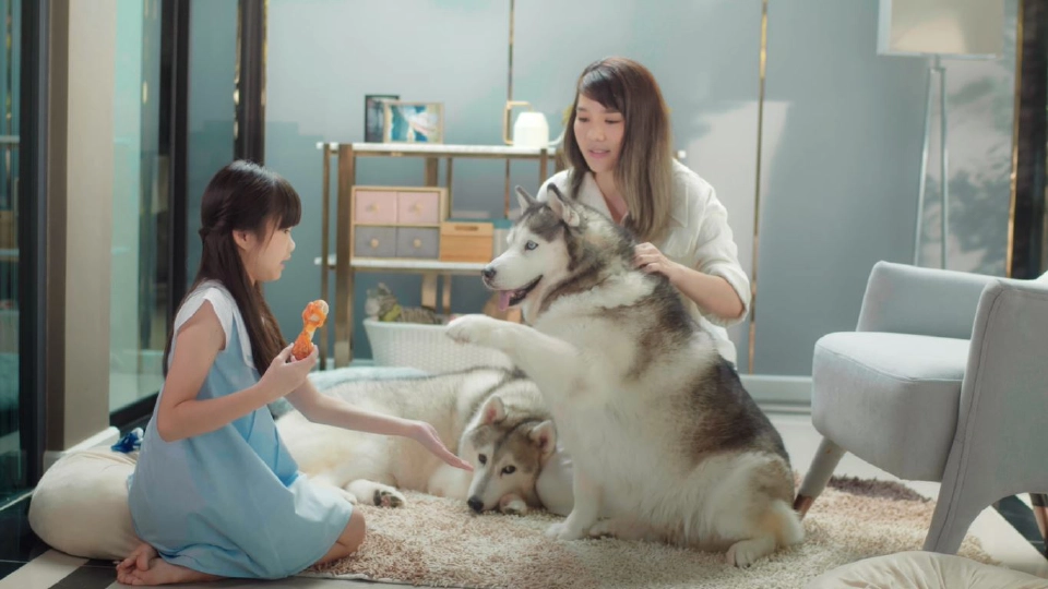 ‘NEIGHBOR SERVICE’  ขายก็ได้-แบ่งปันก็ดี  คอมมูนิตี้ของคนมากความสามารถ