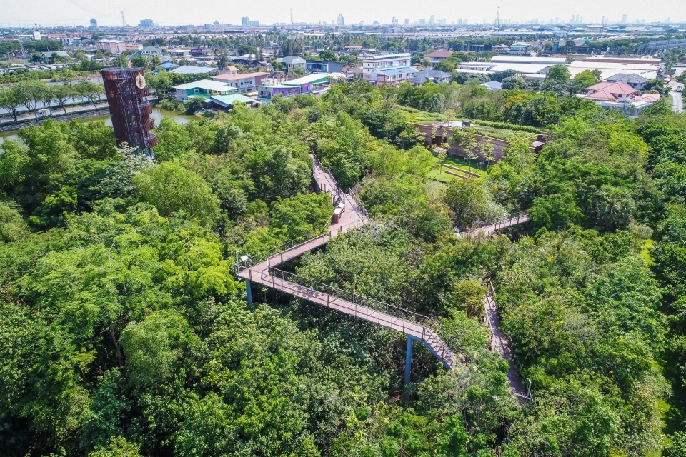 ป่าในกรุง