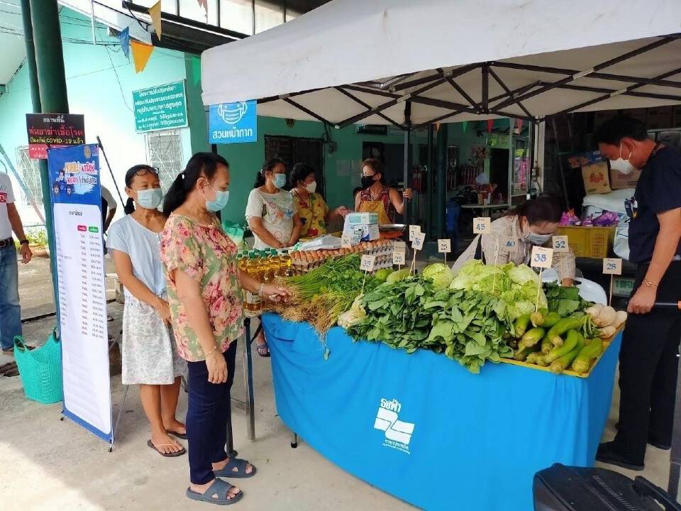 เช็คเลย ราคาผักวันนี้  ผักชีราคาร่วง30บาทต่อกก.