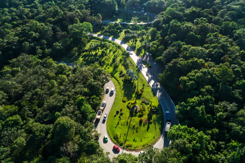 ลุยปรับภูมิทัศน์สร้างคมนาคมสีสันริมทางหลวงรับท่องเที่ยวเทศกาลปีใหม่65