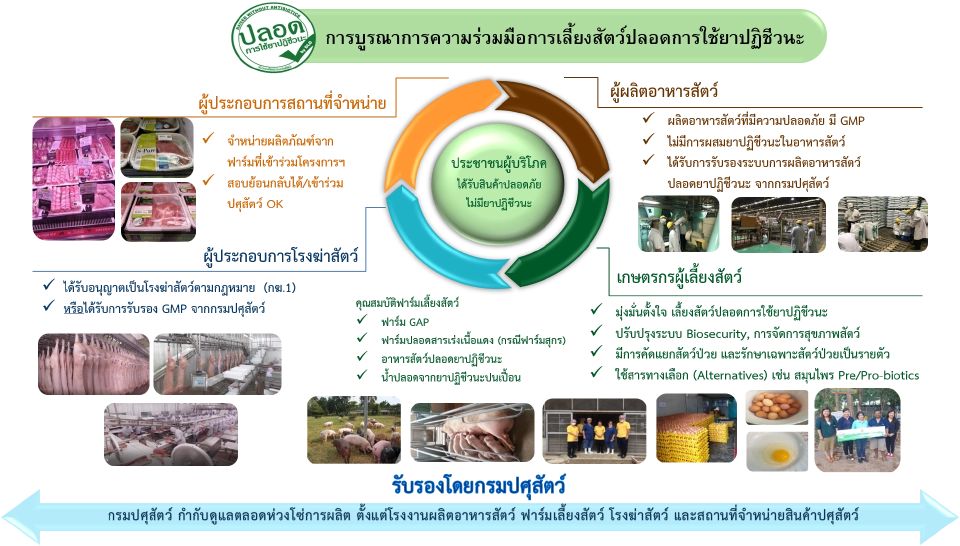กระบวนการเลี้ยงสัตว์ปลอดการใช้ยาปฎิชีวนะ