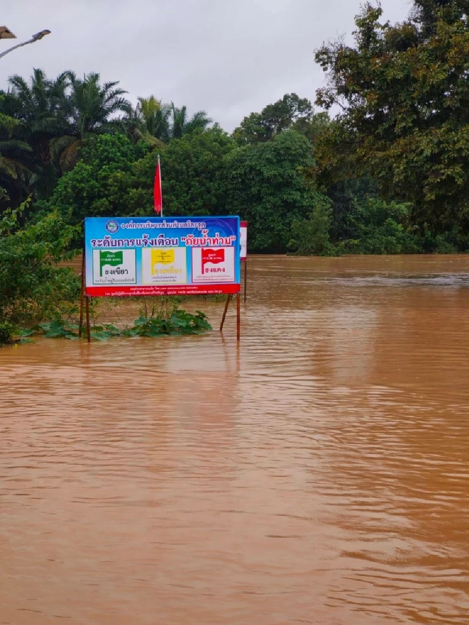 ปภ.เตือนประชาชนริมแม่น้ำสายบุรี แม่น้ำโก-ลก นราธิวาส เฝ้าระวังน้ำล้นตลิ่ง