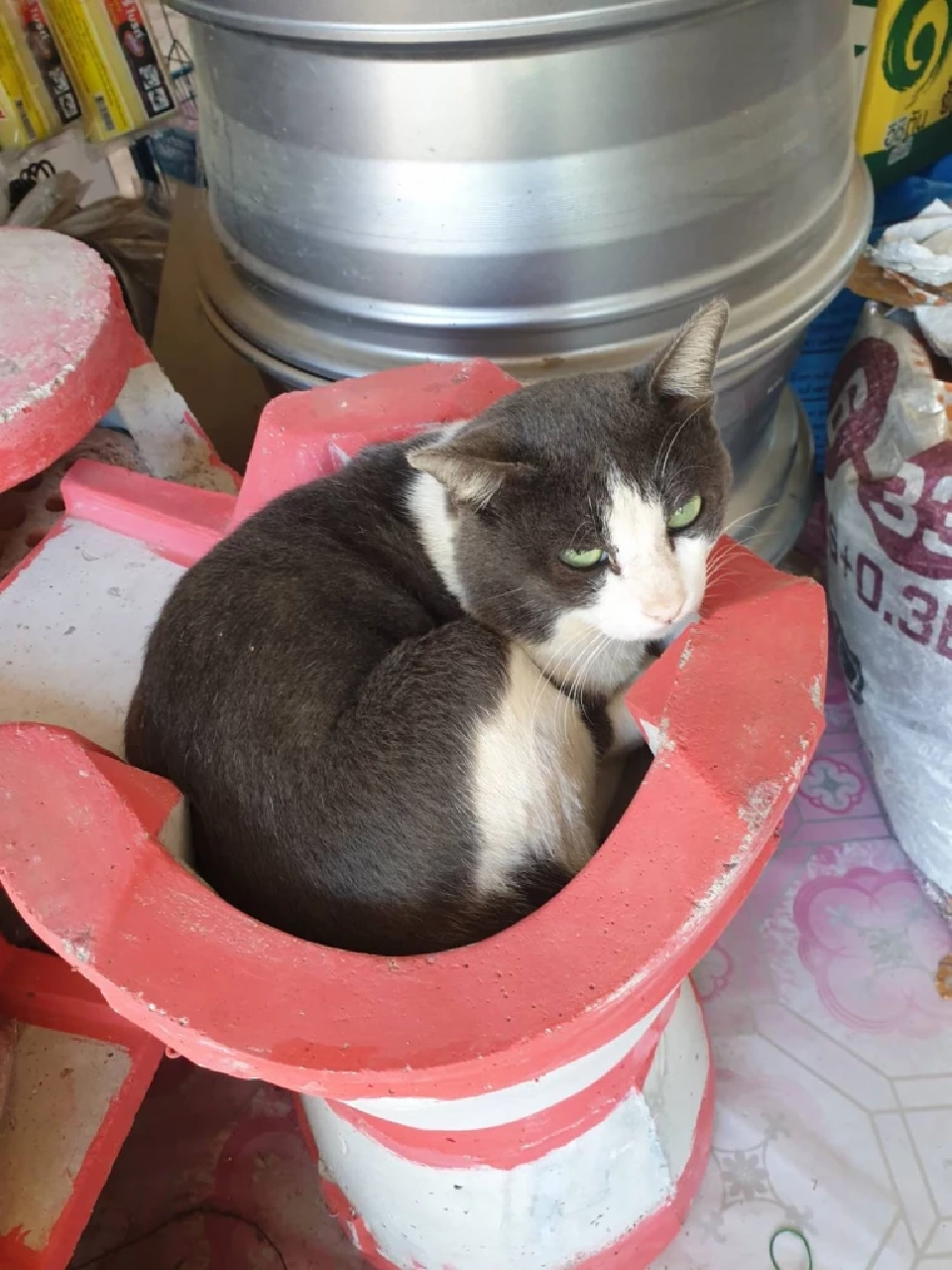 รู้หรือไม่ ทำไมร้านโชห่วยไทย ยังมีเสน่ห์ในสังคมไทย