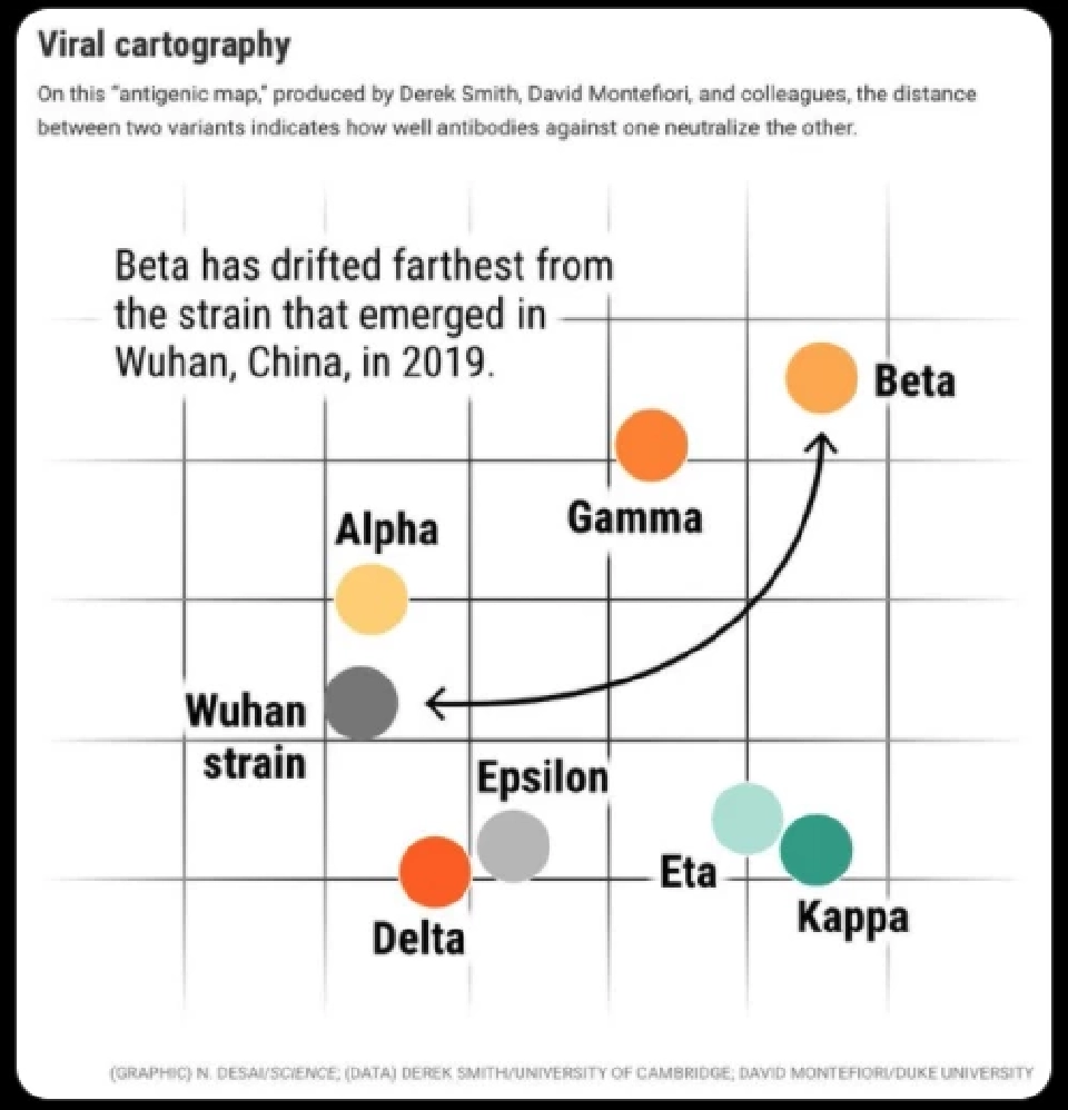 “โอมิครอน” จะไม่มาแทน “เดลต้า” แต่จะมาร่วมกันทำลายมนุษย์