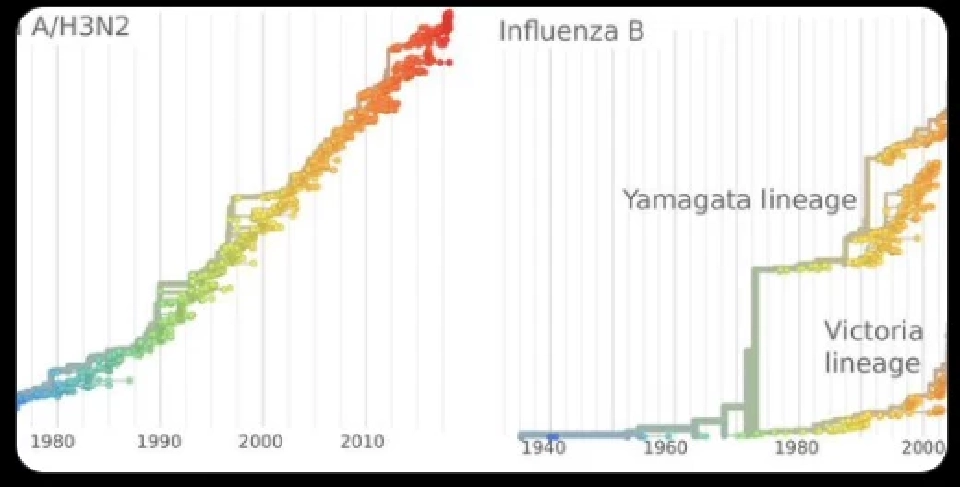 “โอมิครอน” จะไม่มาแทน “เดลต้า” แต่จะมาร่วมกันทำลายมนุษย์