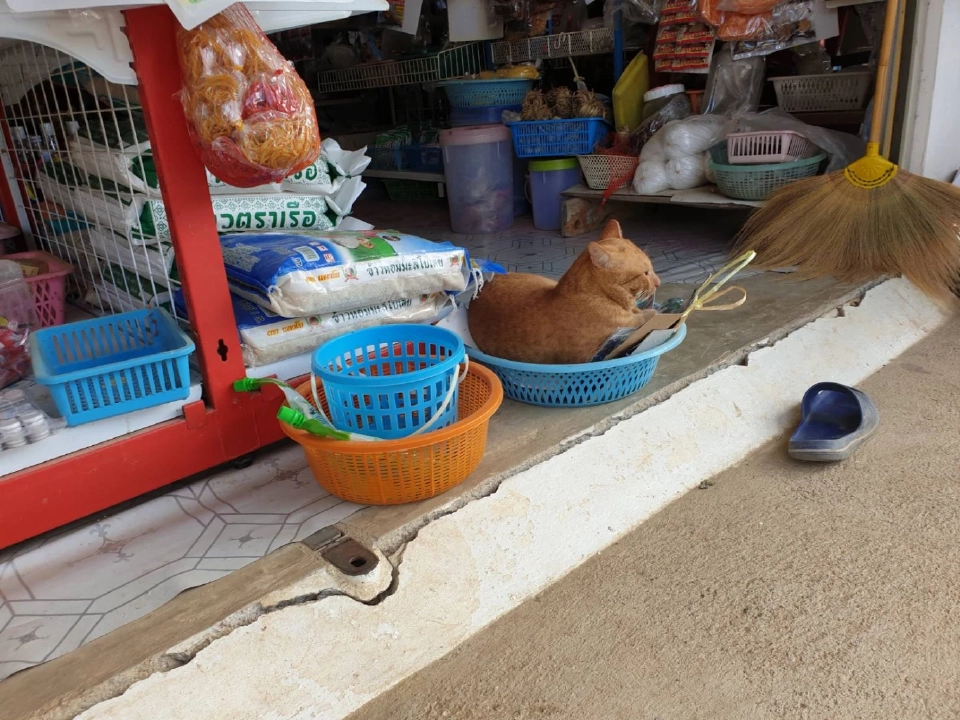 รู้หรือไม่ ทำไมร้านโชห่วยไทย ยังมีเสน่ห์ในสังคมไทย